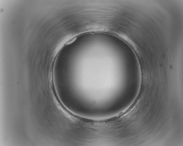 X0000073731383200608101919