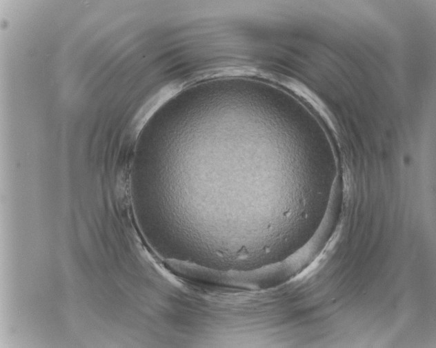 X0000073731385200608101919