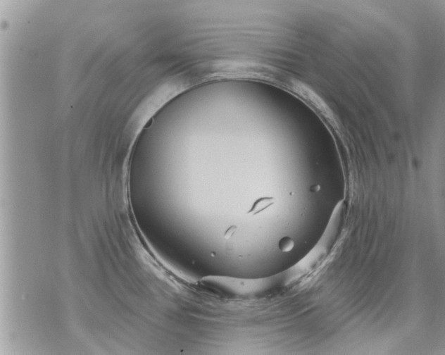 X0000073731386200608101919