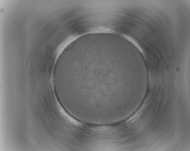 X0000073731387200608101919