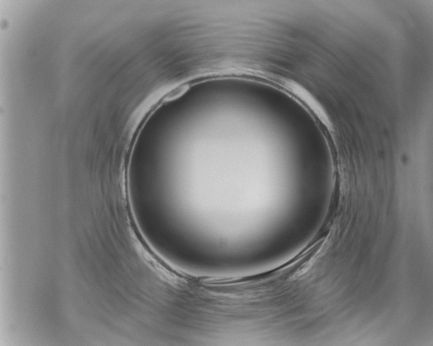 X0000073731388200608101919