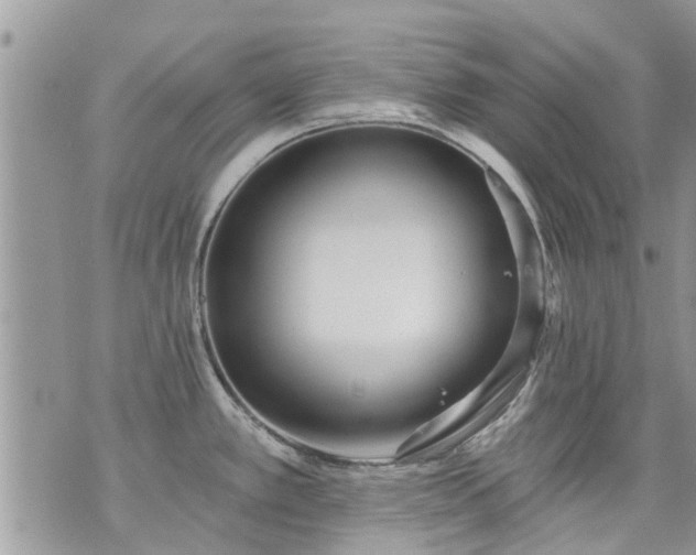 X0000073731389200608101919