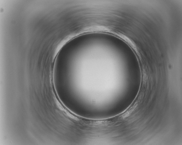 X0000073731390200608101919