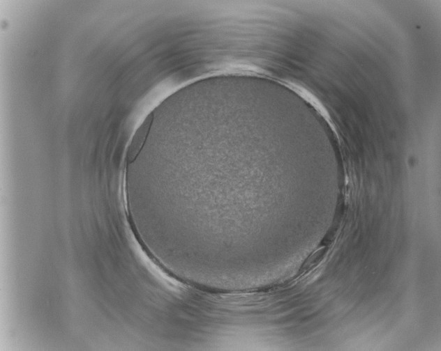 X0000073731391200608101919