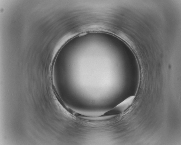 X0000073731392200608101918