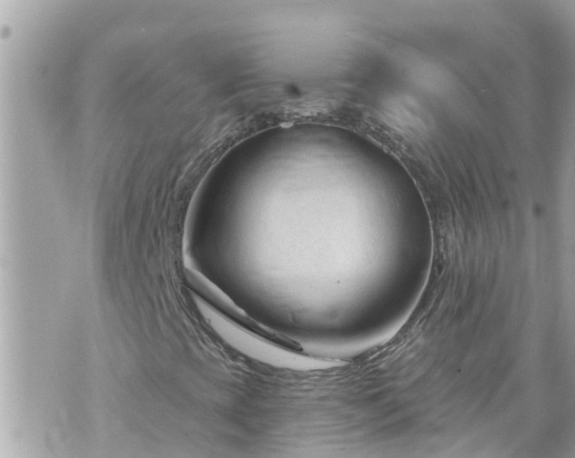 X0000073731393200608101918