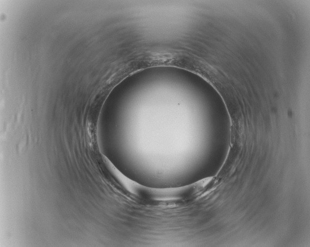 X0000073731394200608101918