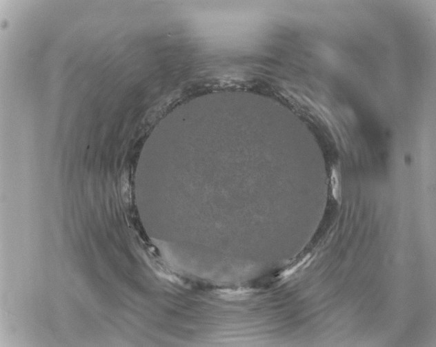 X0000073731395200608101918