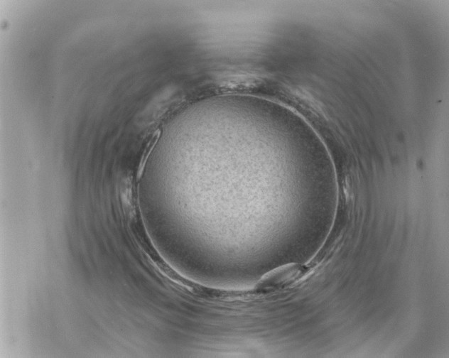 X0000073731396200608101918