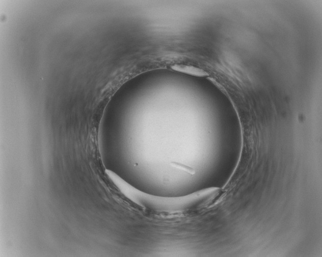 X0000073731397200608101918