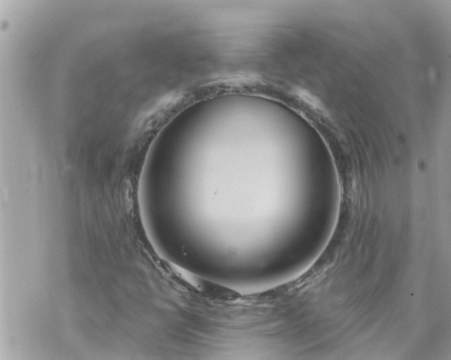 X0000073731398200608101918