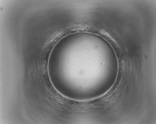 X0000073731399200608101918