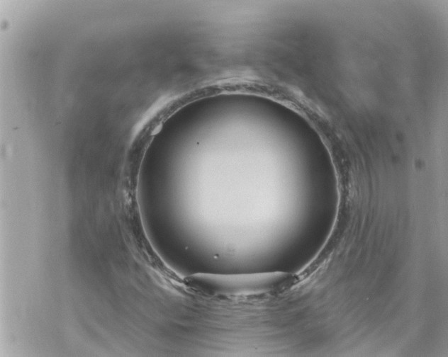 X0000073731400200608101918