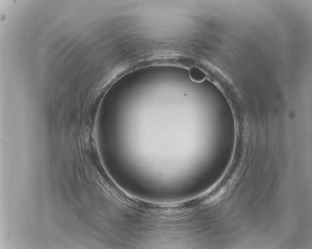 X0000073731401200608101918