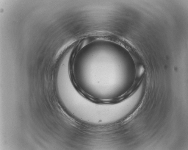 X0000073731402200608101918