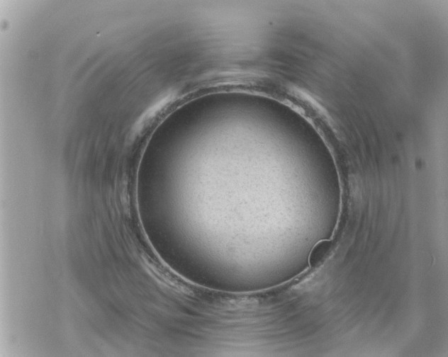 X0000073731403200608101918