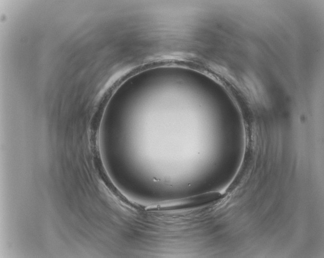 X0000073731404200608101918