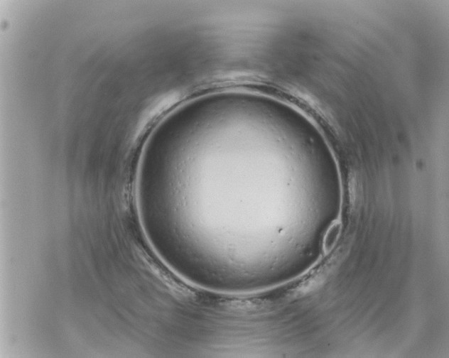 X0000073731405200608101918