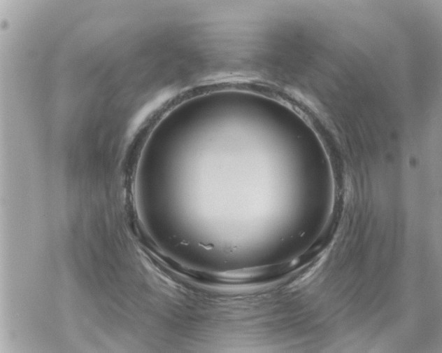 X0000073731406200608101918