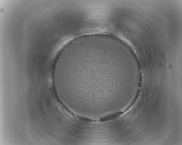 X0000073731407200608101918