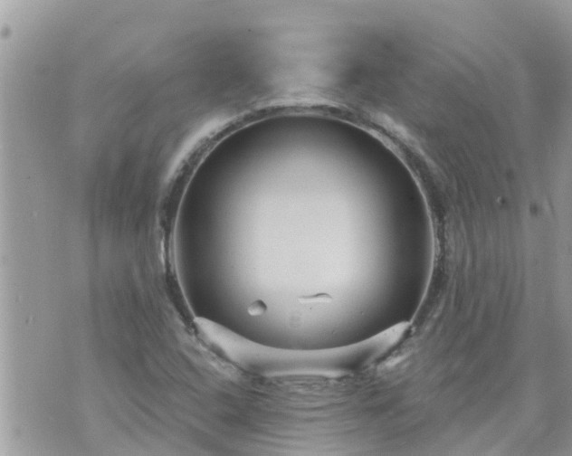 X0000073731408200608101918