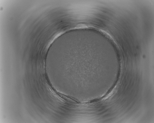 X0000073731409200608101918