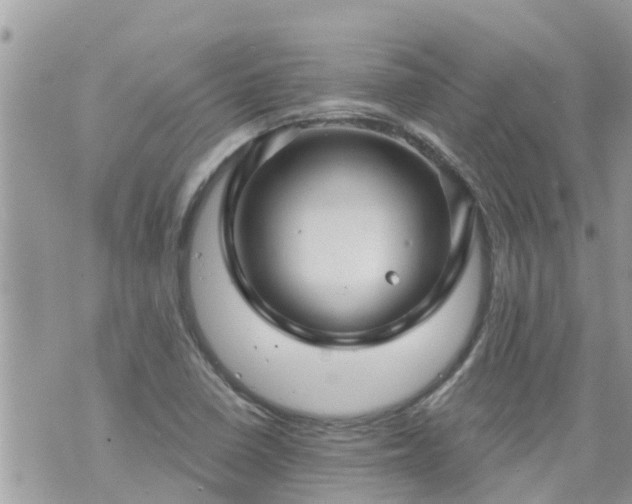 X0000073731410200608101918