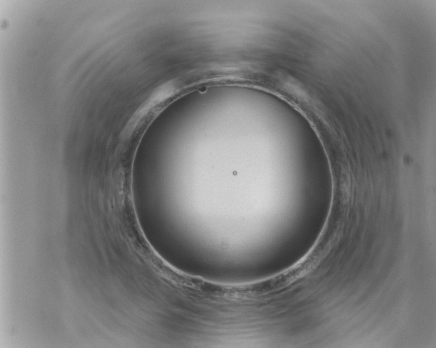 X0000073731411200608101918