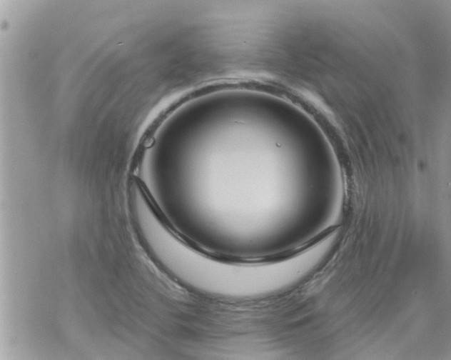 X0000073731412200608101918