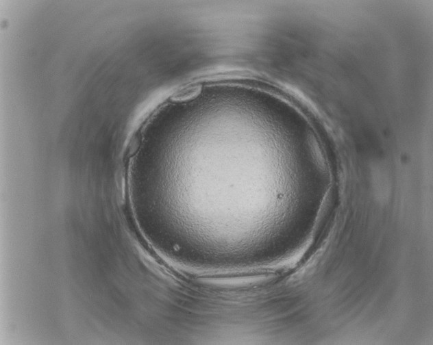 X0000073731413200608101918