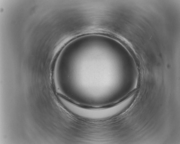 X0000073731415200608101918