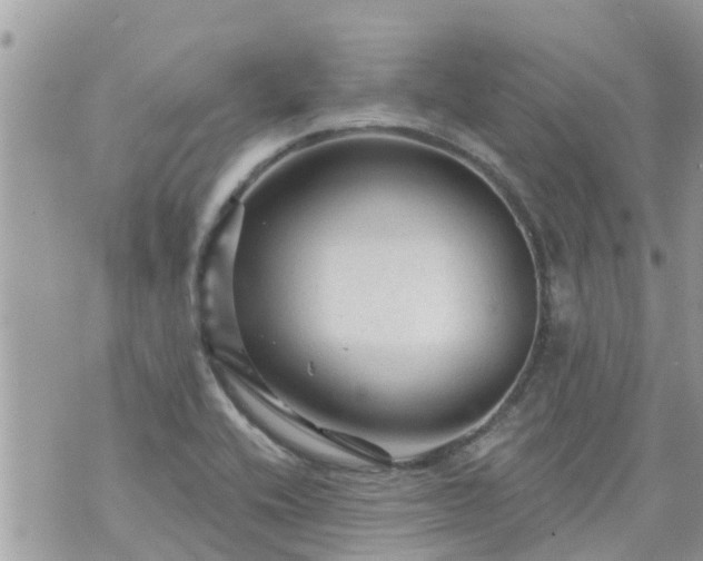 X0000073731416200608101918