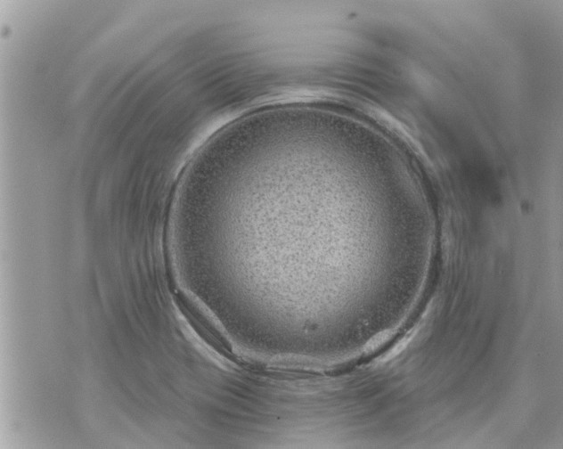 X0000073731417200608101918