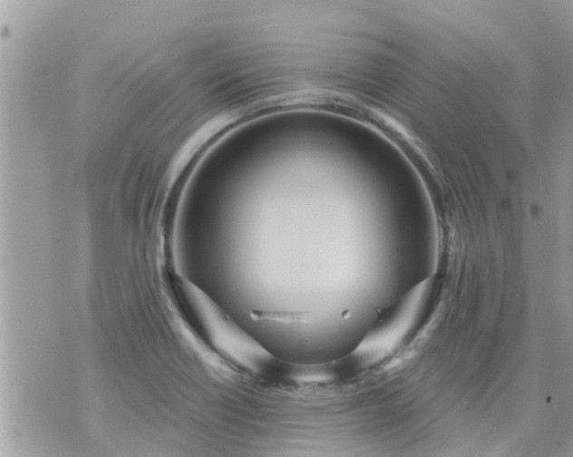 X0000073731418200608101918