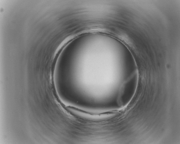 X0000073731420200608101918