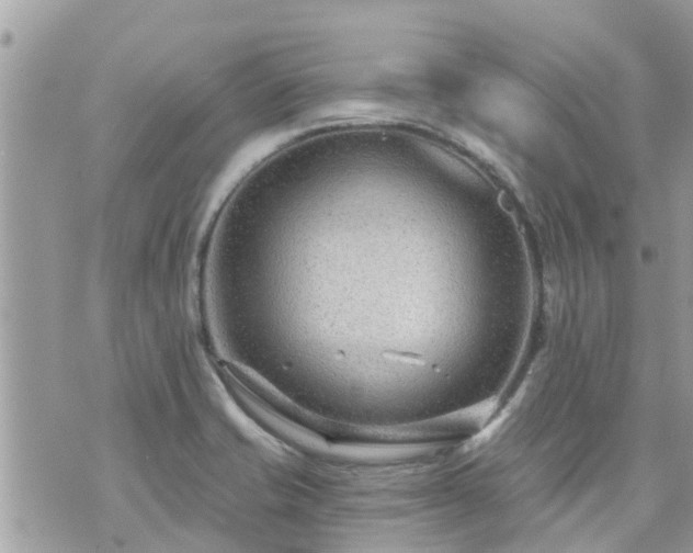 X0000073731421200608101918