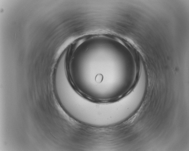 X0000073731422200608101918