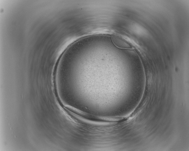 X0000073731423200608101918