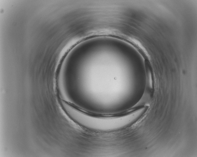 X0000073731424200608101918