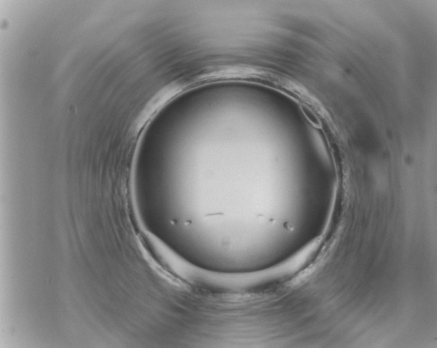 X0000073731425200608101918