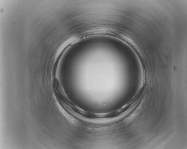 X0000073731426200608101918