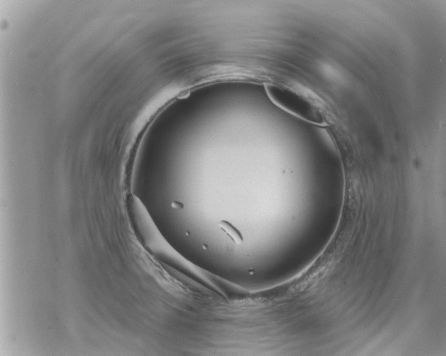 X0000073731427200608101918