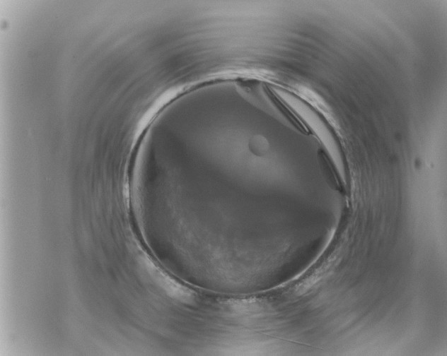 X0000073731428200608101918