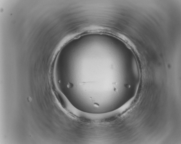 X0000073731429200608101918