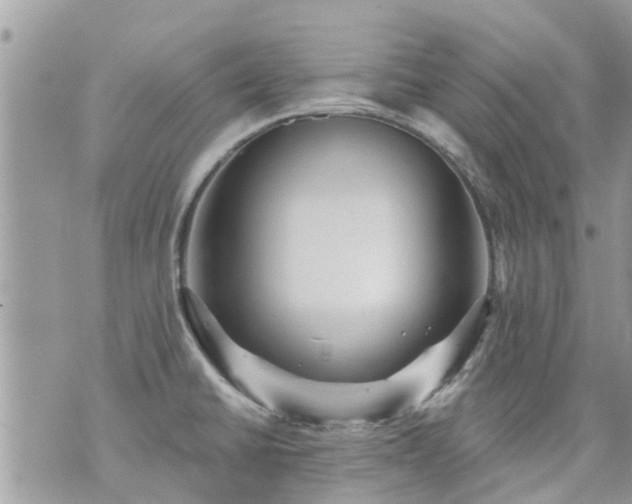 X0000073731430200608101918