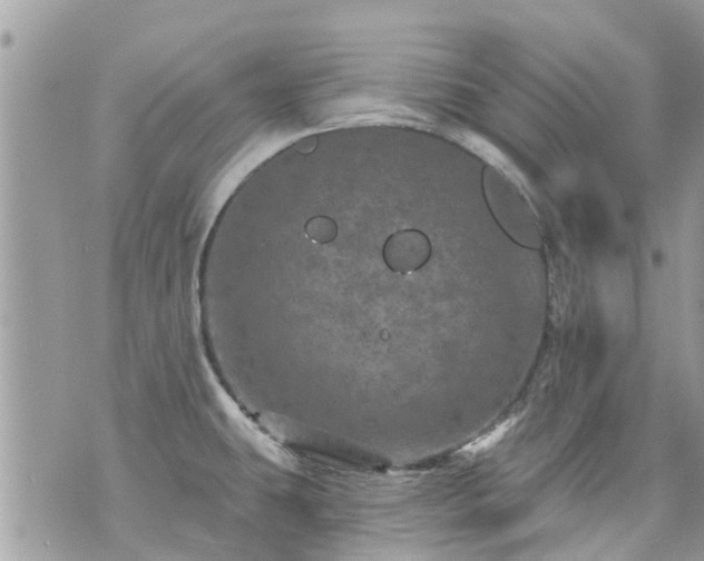 X0000073731431200608101918