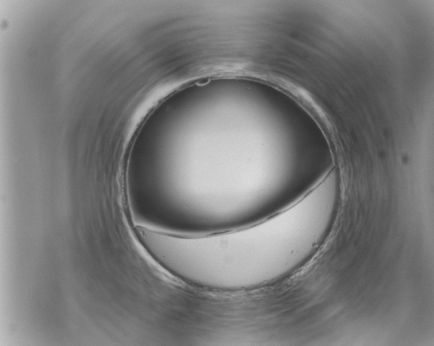 X0000073731432200608101918