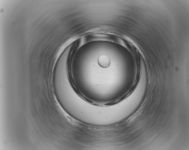 X0000073731434200608101918