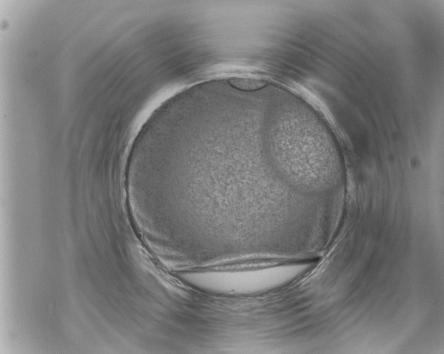 X0000073731435200608101918