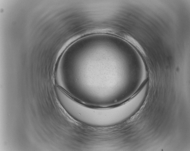 X0000073731436200608101918